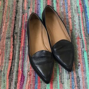 Everlane black modern point loafer EUC